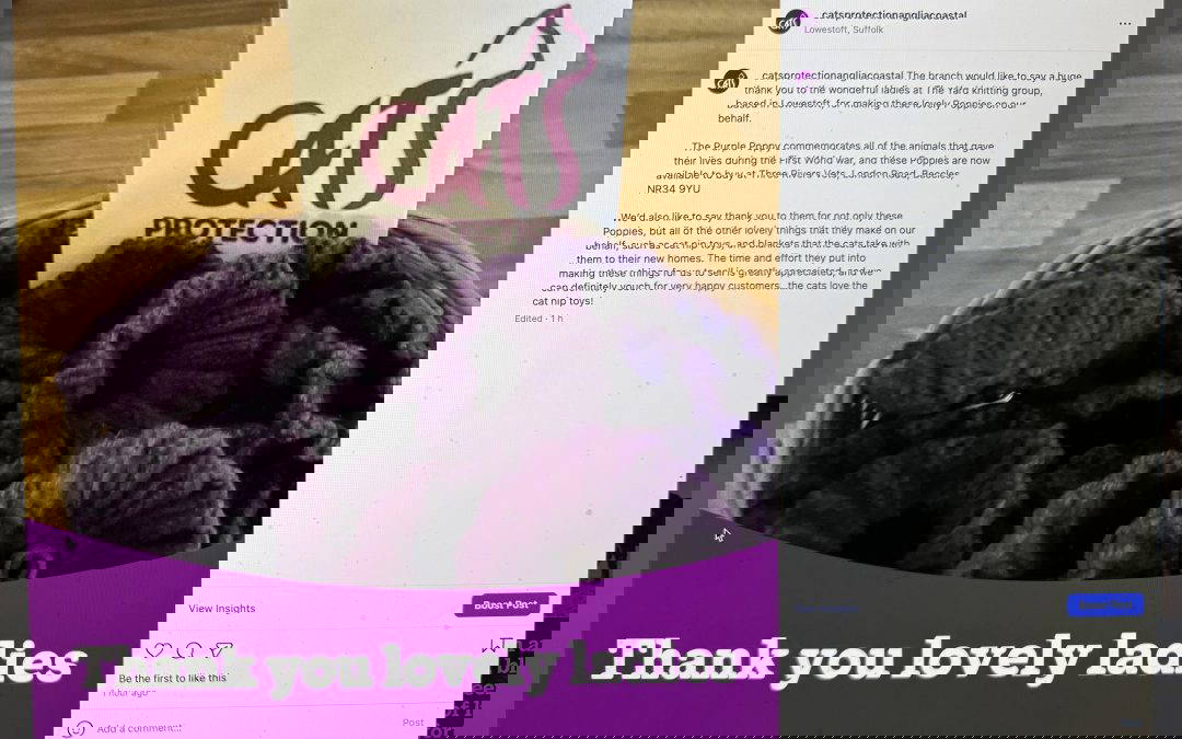 Thank You from Cats Protection