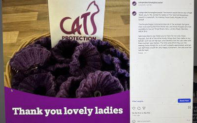 Thank You from Cats Protection