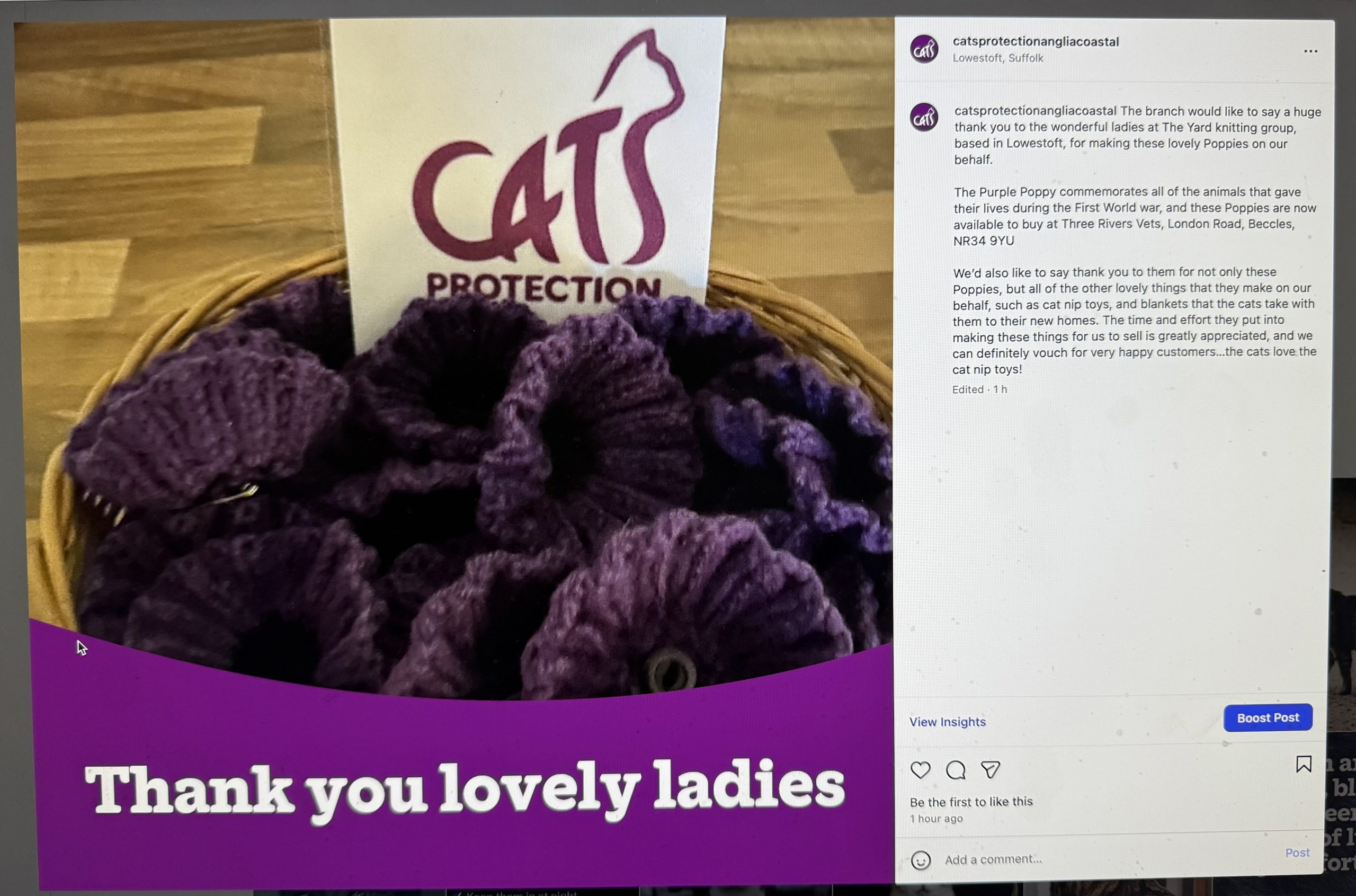 Thank You from Cats Protection